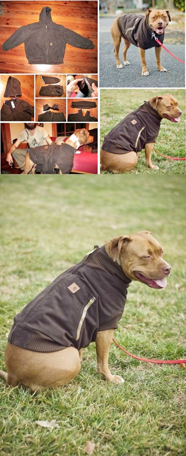 DIY Dog Clothes Tutorials For You