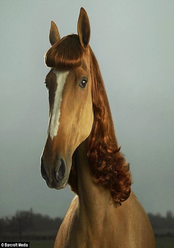 Insanely Funny Pictures Of Pets Wearing Wigs