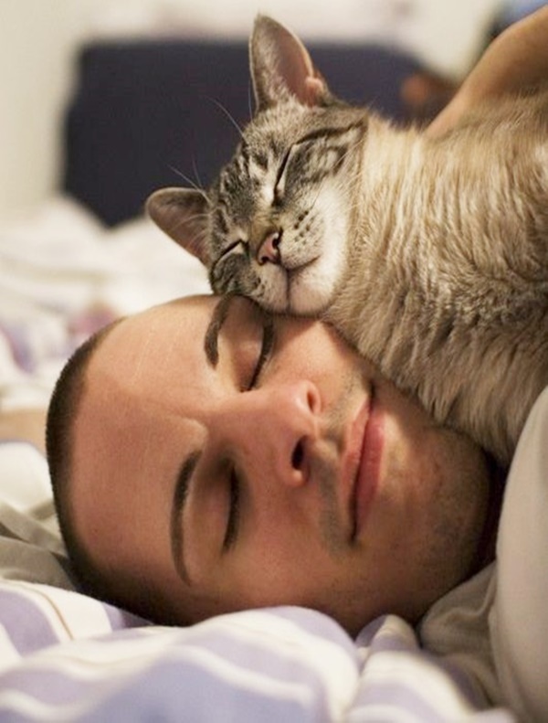 Reasons Why My Cat Love To Sleep On Me