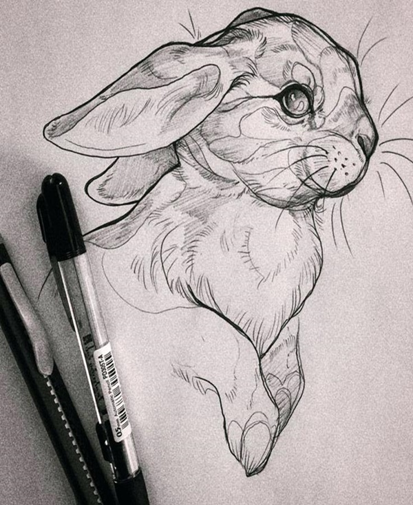 40 Cute Easy Animal Drawings Ideas