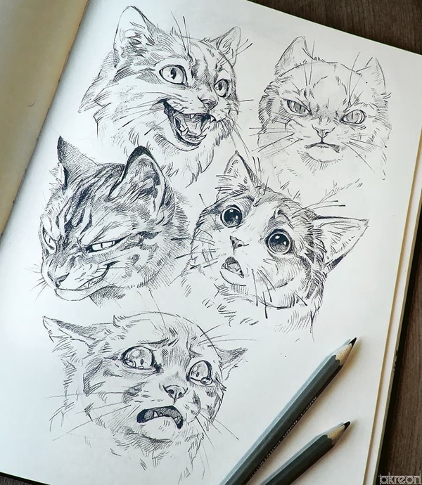 Cute Easy Animal Drawings Ideas