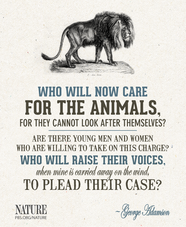 Popular Saying And Slogan On Save Animals
