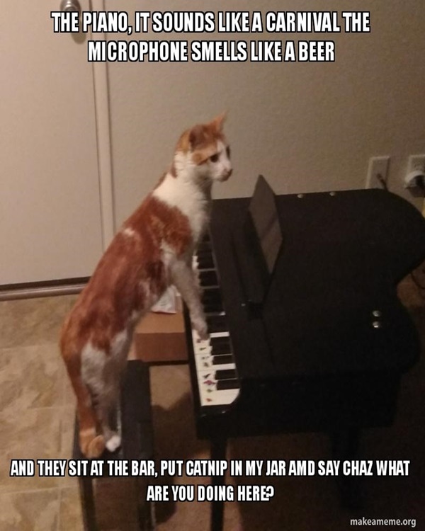 All-time Funny Cat Memes Ever On The Internet
