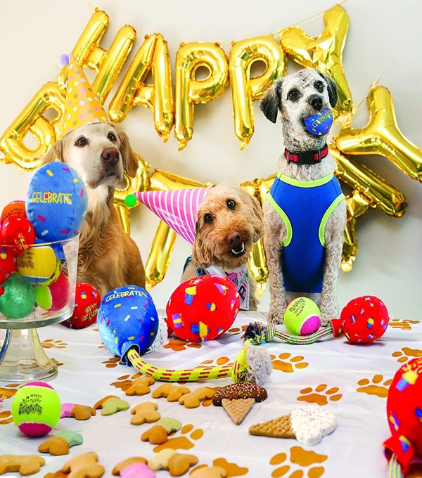 Amazing Ideas To Celebrate Your Dog First Birthday