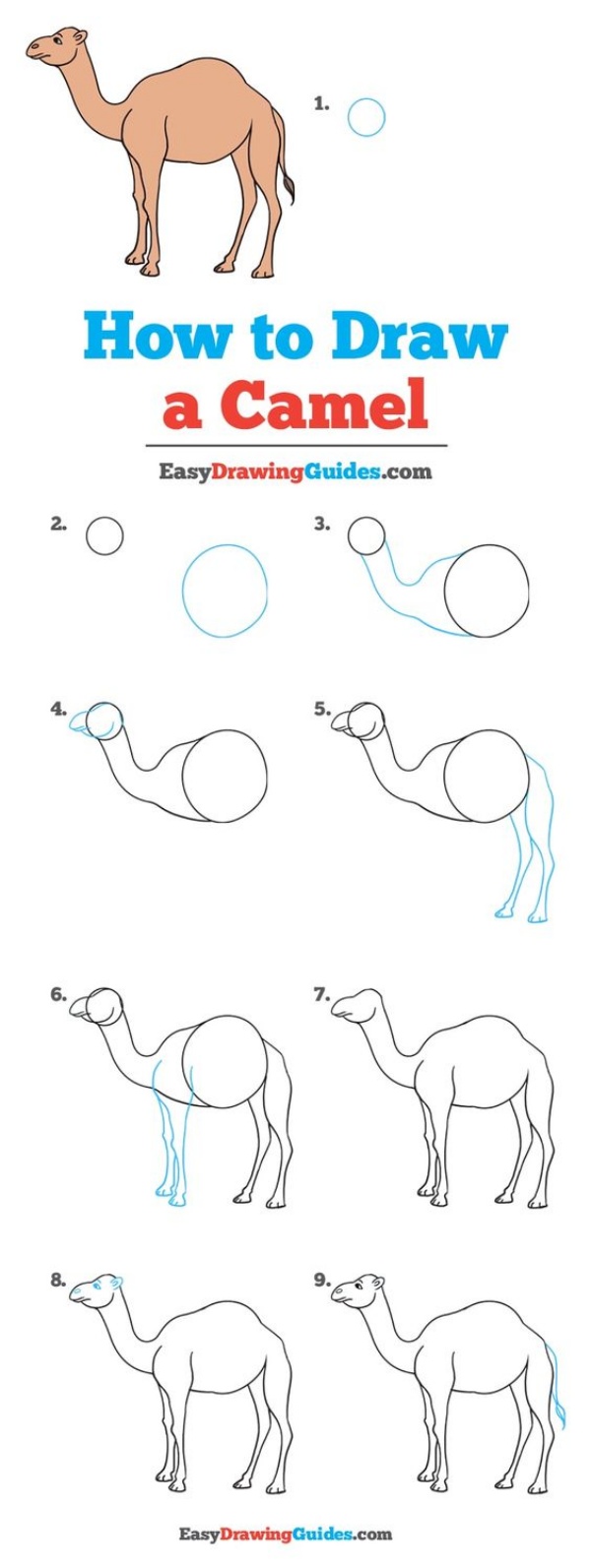 How to Draw a Camel Step by Step