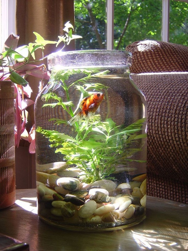 Indoor Fish Tank Ideas Aquarium indoor decorations stunning fish tank seshell tanks decor house