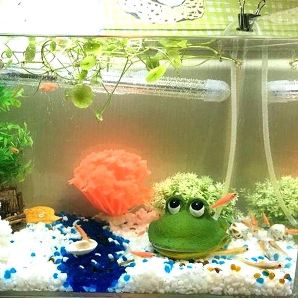 Ideas For Homemade Fish Tank Decoration Ideas