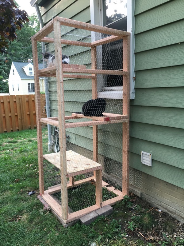 Perfect DIY Ideas to make cat Cage