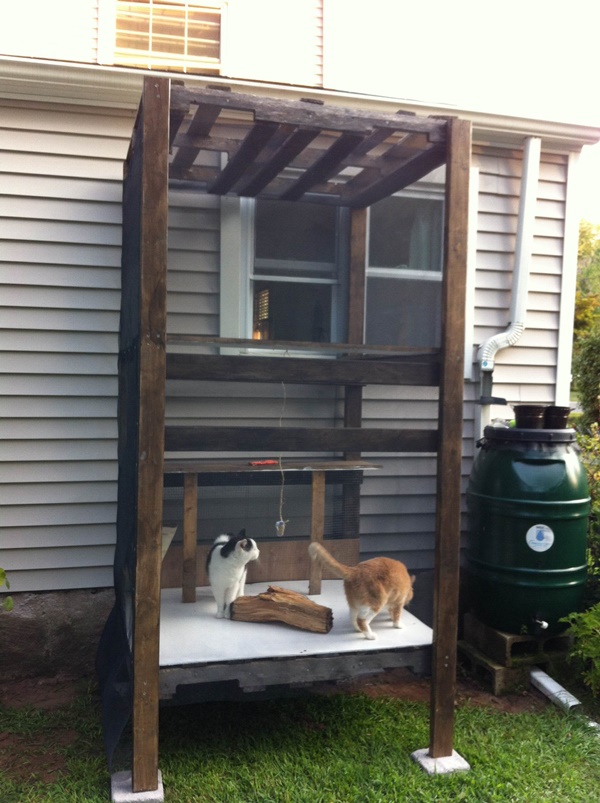 Perfect DIY Ideas to make cat Cage