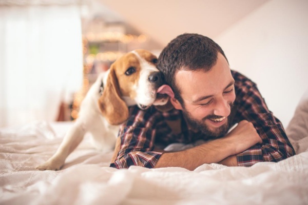 Why Dogs are the Best Pets