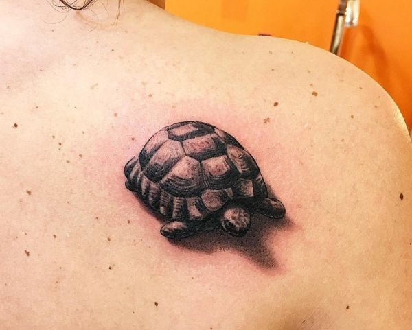 Cool Example of Sea turtle Tattoo and Their Meaning