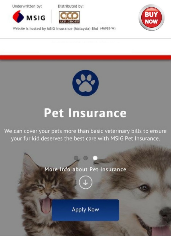 Best pet Insurance in America: Simple Guidelines 