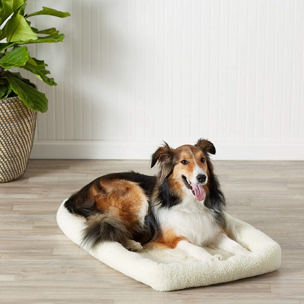 Chew Proof Bed Ideas for Dogs