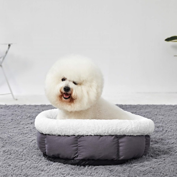 Chew Proof Bed Ideas for Dogs