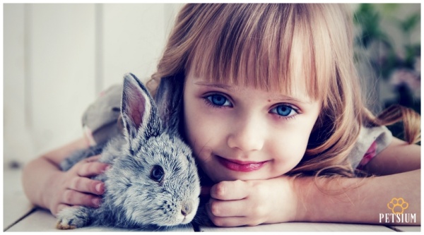How to Deal with Kids and Rabbits under the Same Roof