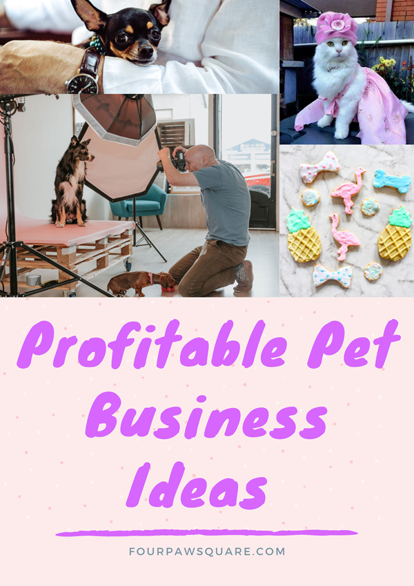 10 Most Profitable Pet Business Ideas To Start For Animals Lover